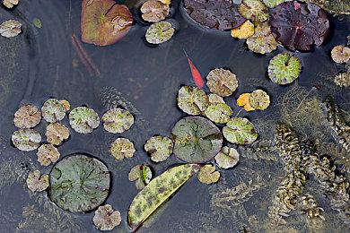 《圣剑传说 Visions of Mana》真人宣传片 夏季发售